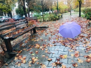 پاییز هزار رنگ ایران