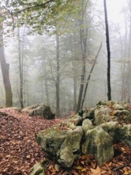 پاییز هزار رنگ ایران
