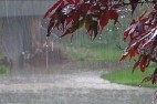بارش باران امروز و فردا در سواحل خزر
