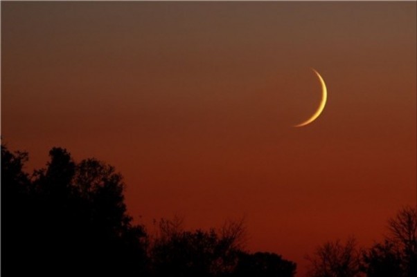 سهشنبه روز اول ماه رمضان است