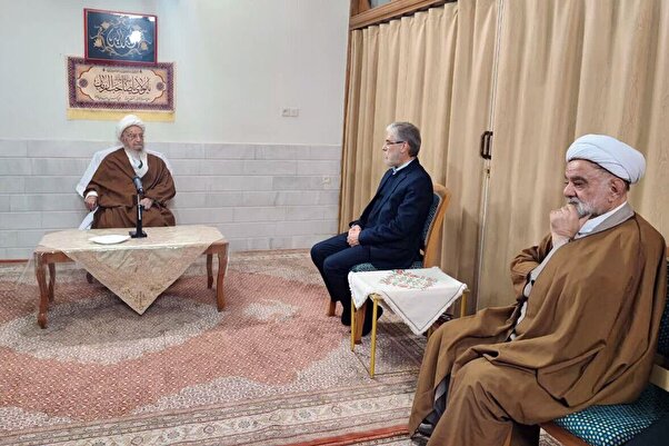 آیت الله مکارم: باید از ظرفیت نخبگان برای آبادانی کشور استفاده شود